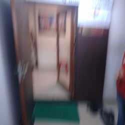 Gallery 2