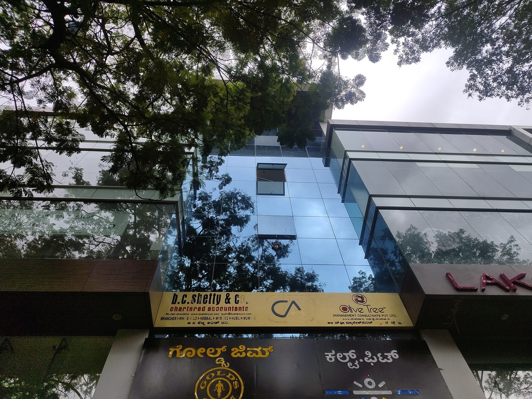 Gallery 2
