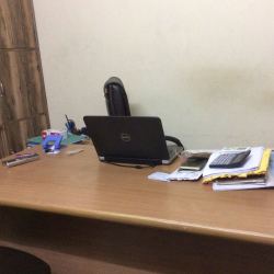 Bose Mehrotra & Co