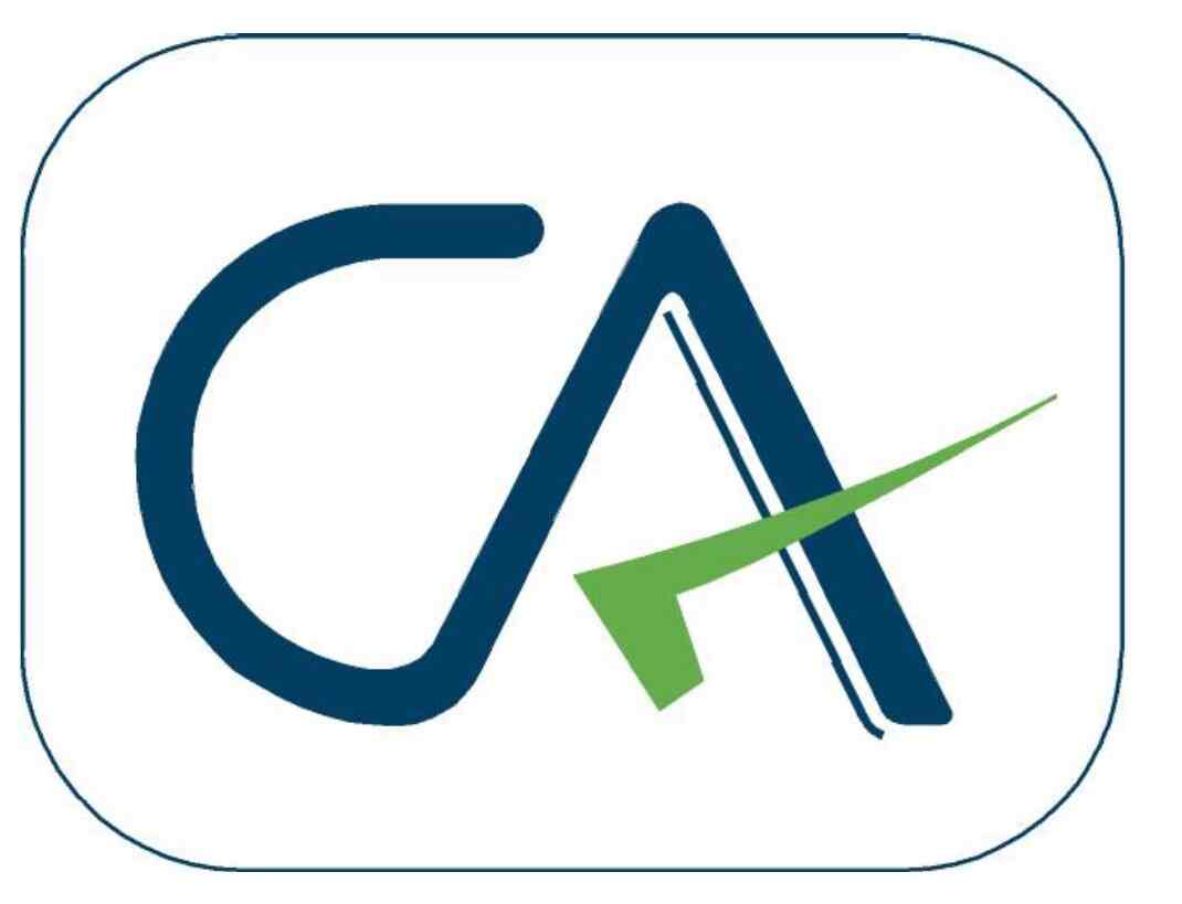 Burhan & Associates Ca In