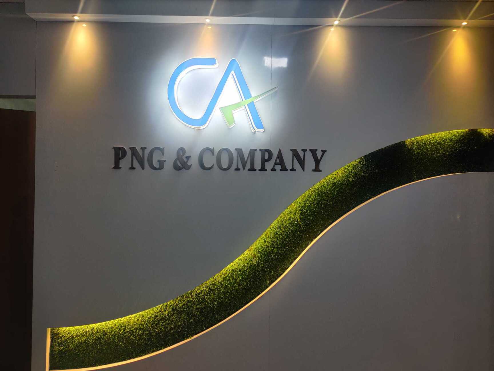 CA PNG & Company