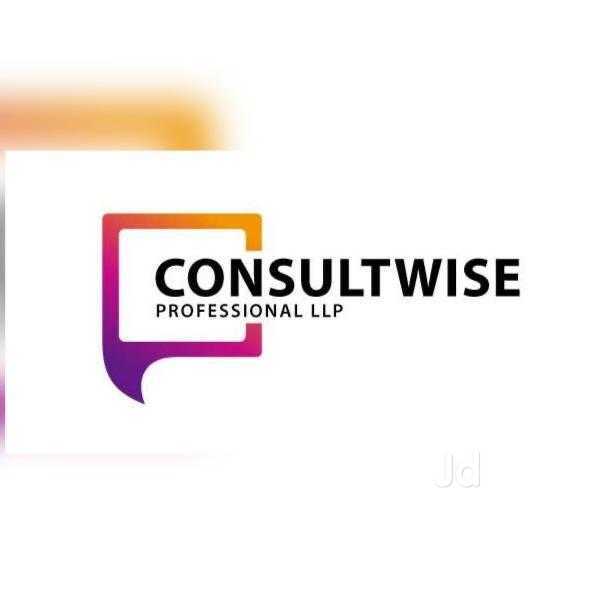 Consultwise Profesional