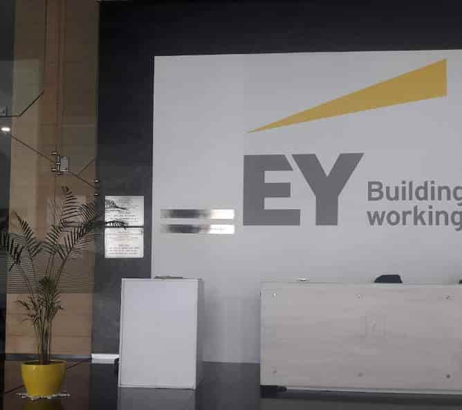 Ernst & Young LLP