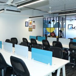 Gallery 6