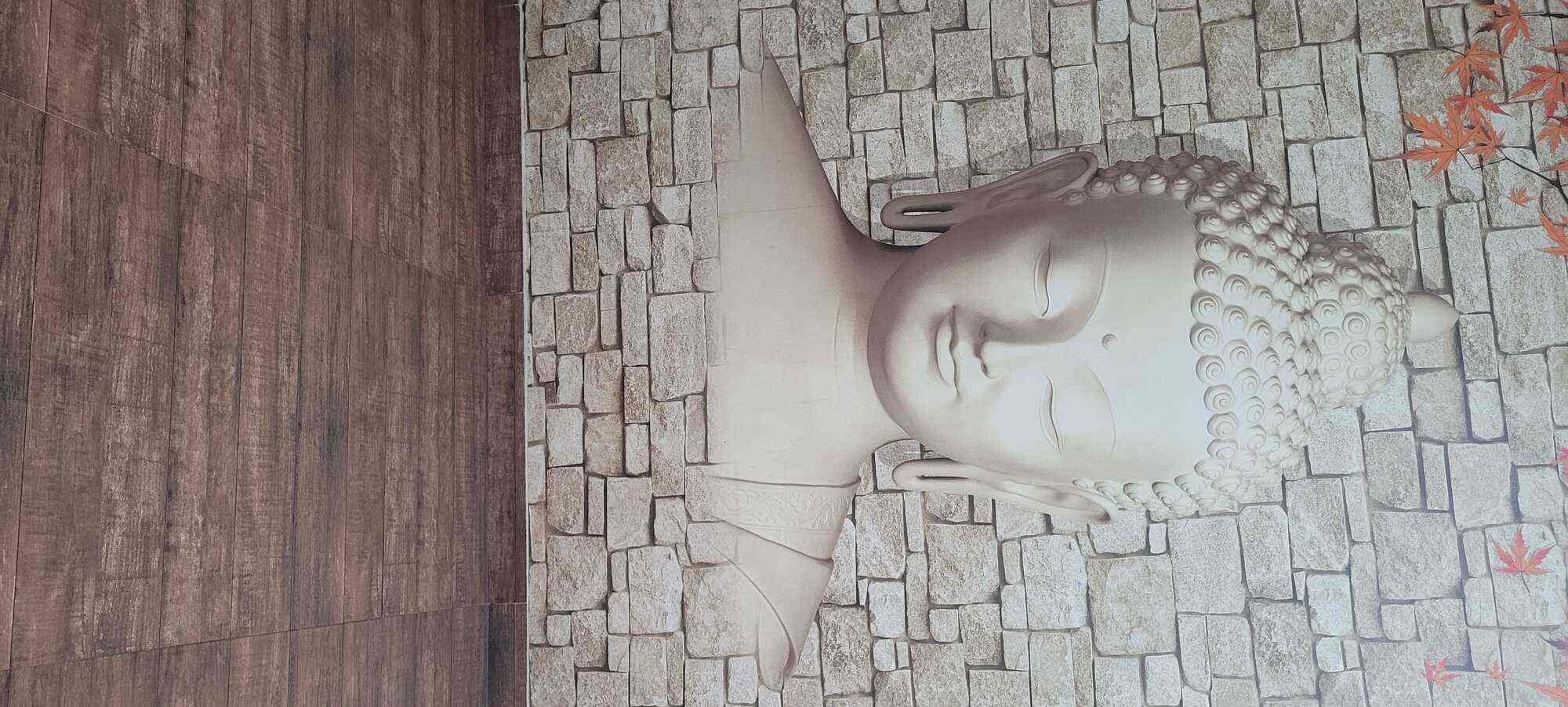 Gallery 5