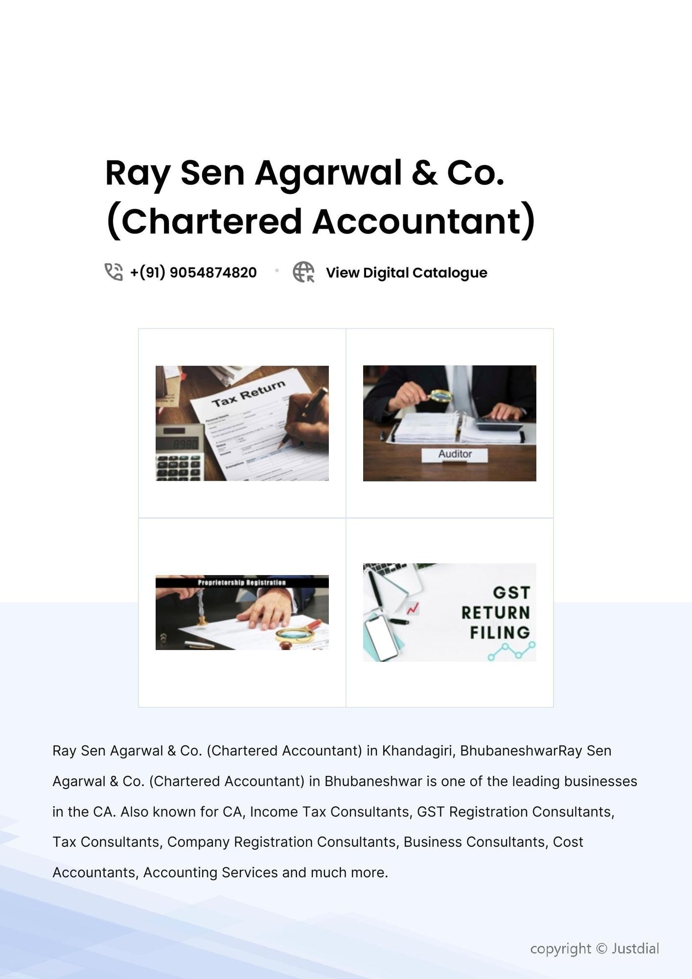Ray Sen Agarwal & Co. (Chartered Accountant)