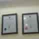 Gallery 7