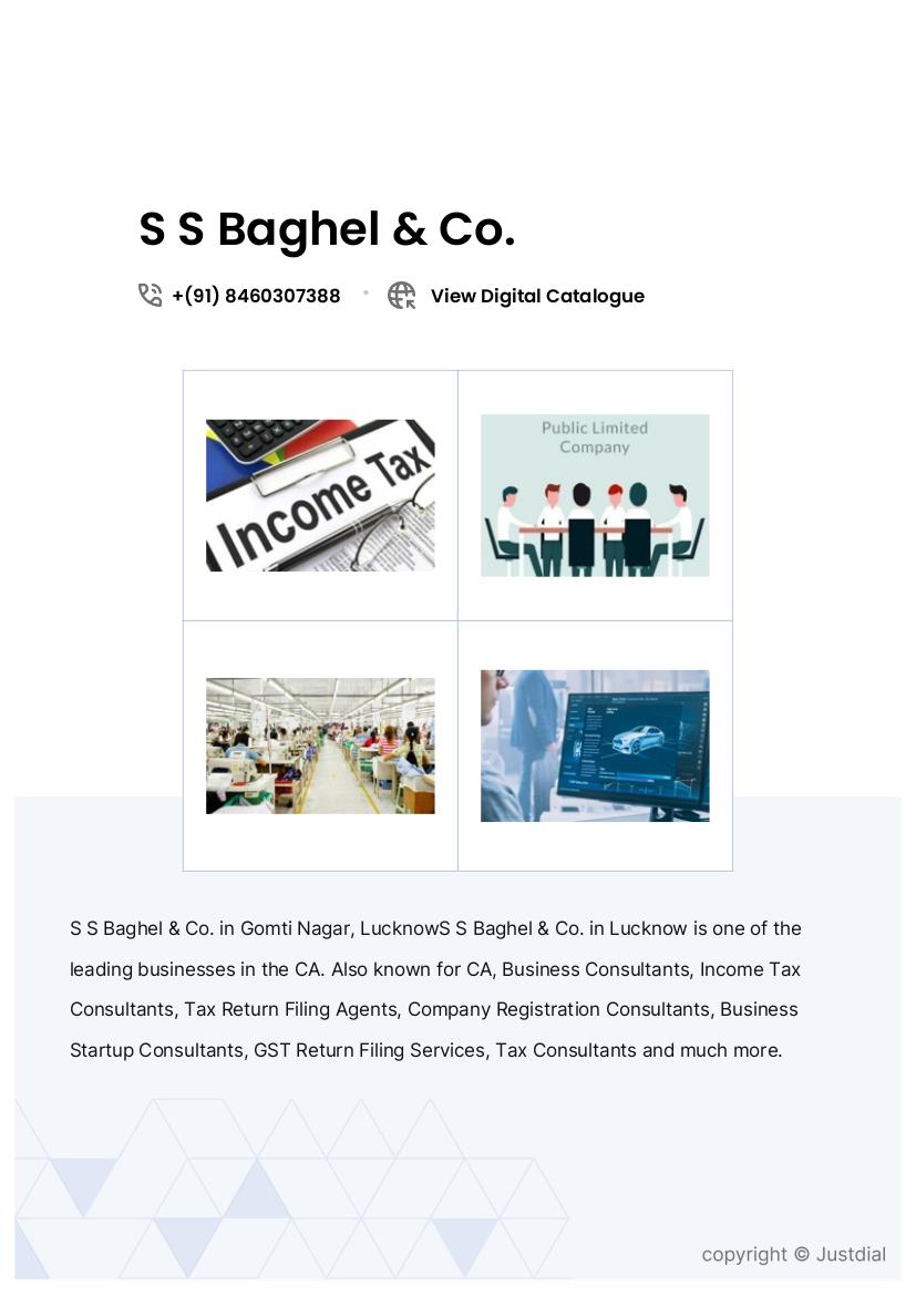 S S Baghel & Co.