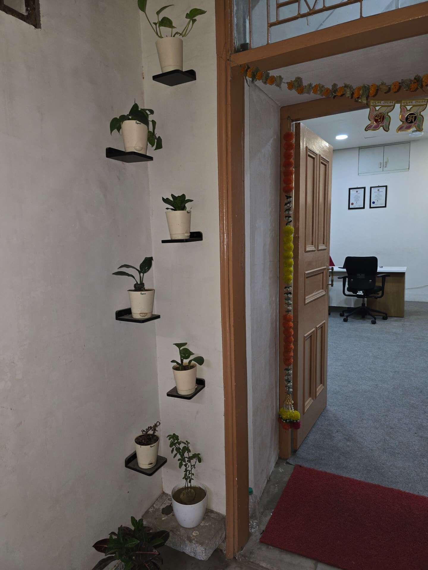 Gallery 4