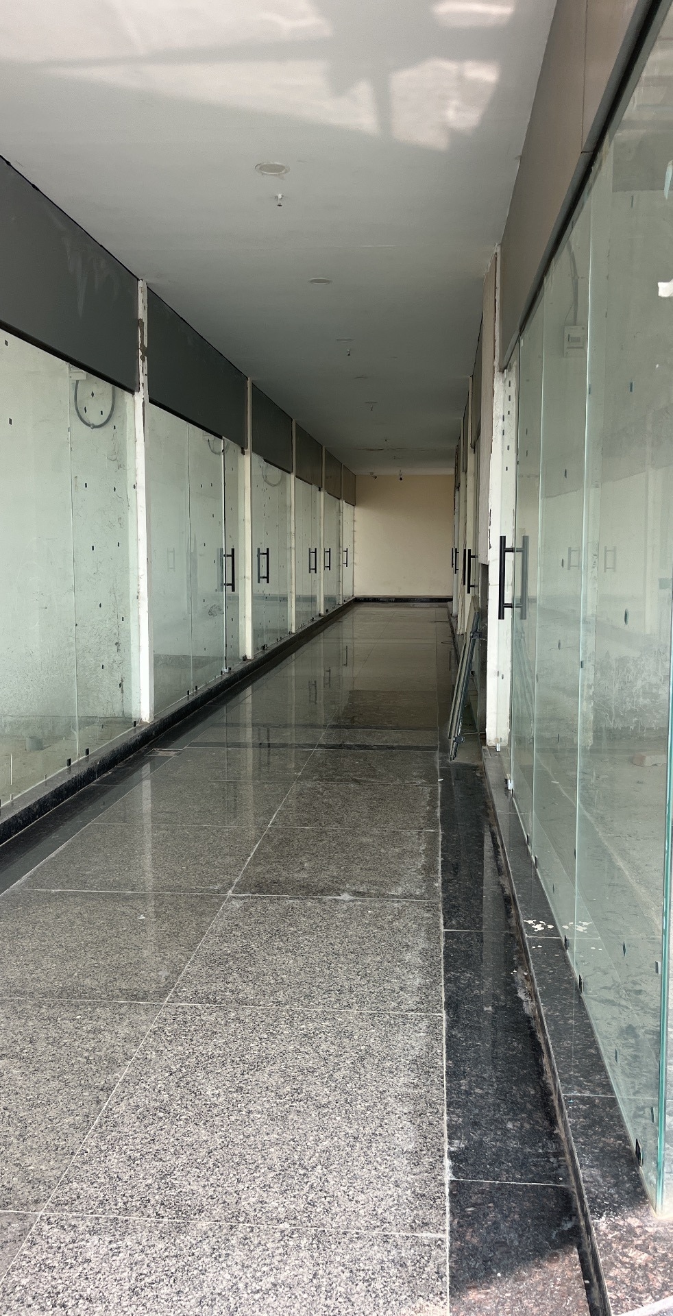 Gallery 5