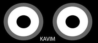 KAVIM trademark artwork
