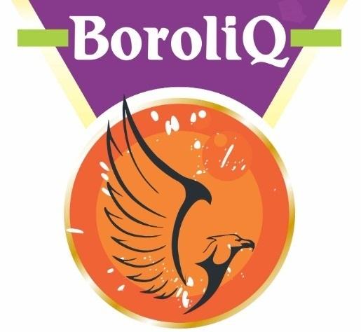 BOROLIQ trademark artwork