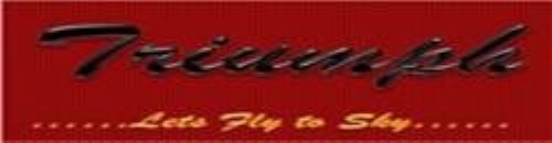 TRIUMPH:Lets Fly to Sky trademark artwork