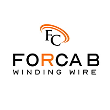 FORCA B WITH LOGO trademark artwork