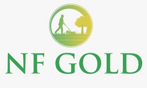 NF Gold trademark artwork