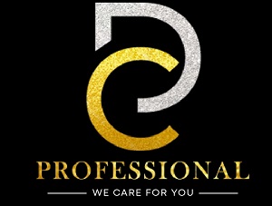 DC PROFESSIONAL trademark artwork