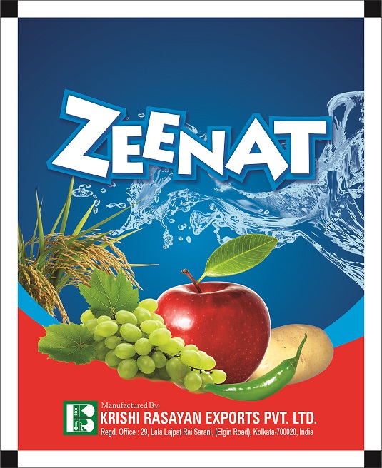 ZEENAT trademark artwork