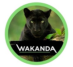 Wakanda trademark artwork