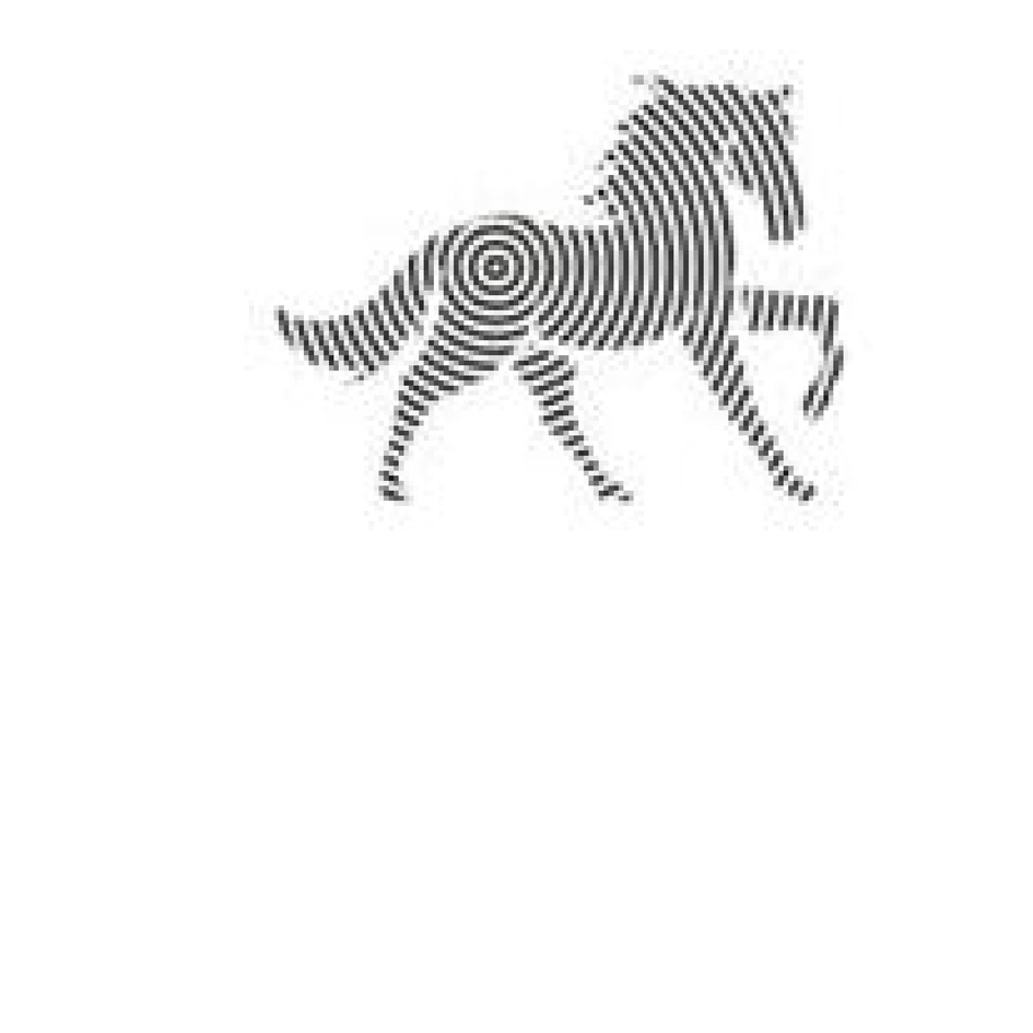 Image of Zebra trademark artwork