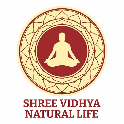 SHREE VIDHYA NATURAL LIFE trademark artwork