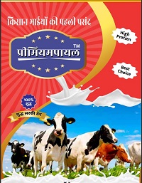 PREMIUMPAYAL trademark artwork