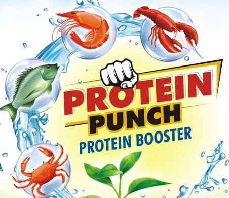 PROTEIN PUNCH trademark artwork