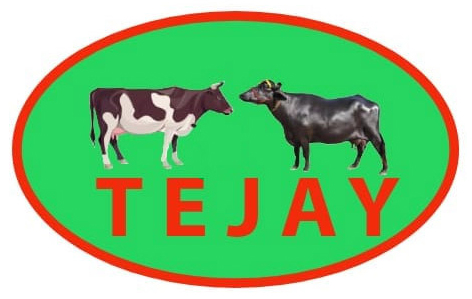 TEJAY trademark artwork