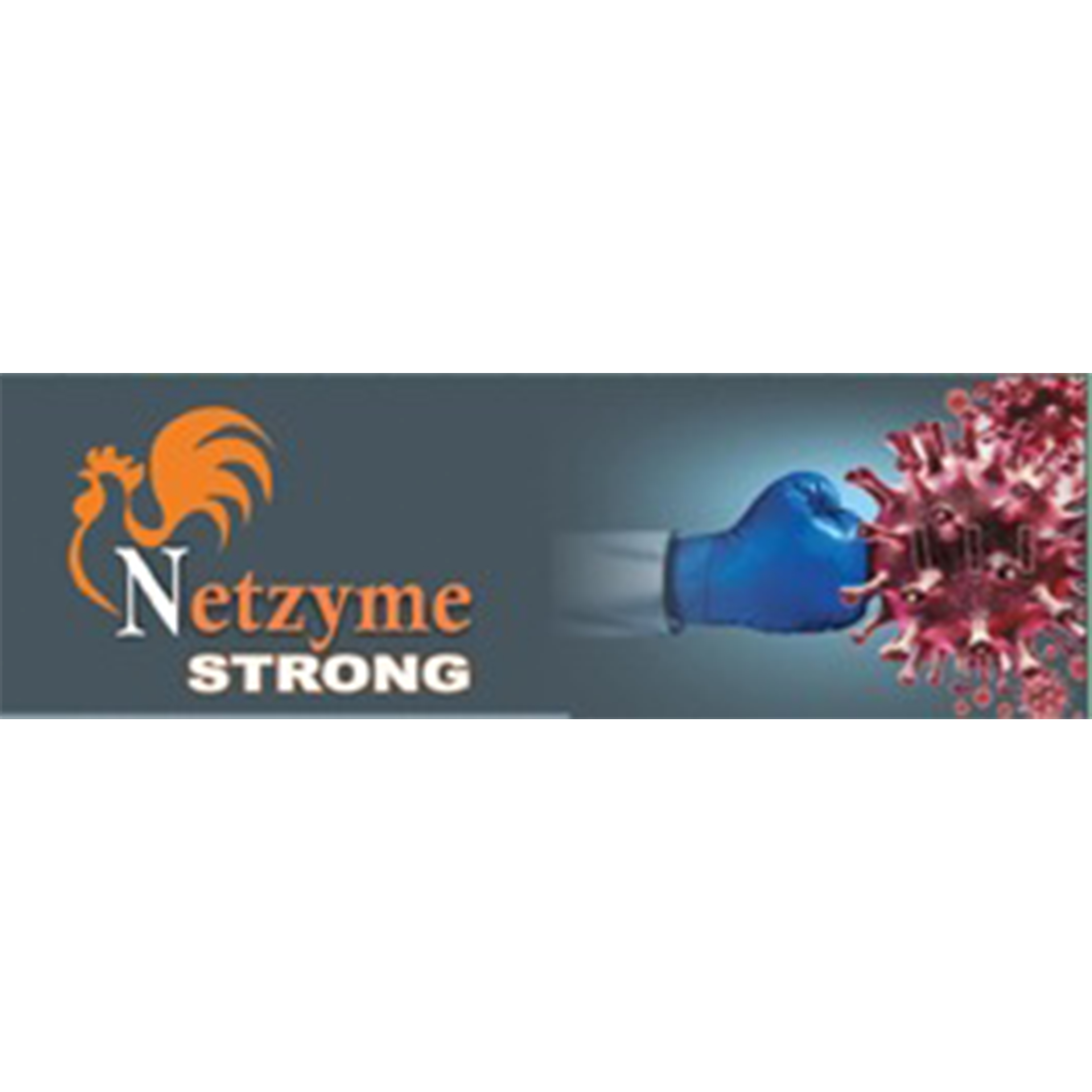 NETZYME STRONG trademark artwork