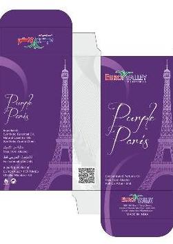 EURO VALLEY PURPLE PARIS trademark artwork