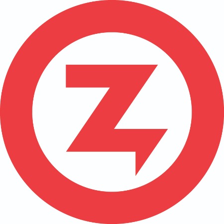 DEVICE OF Z trademark artwork