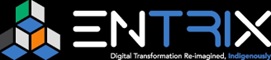 ENTRIX trademark artwork