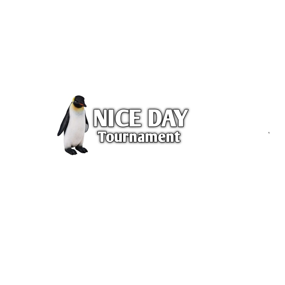 NiceDay Tournament trademark artwork