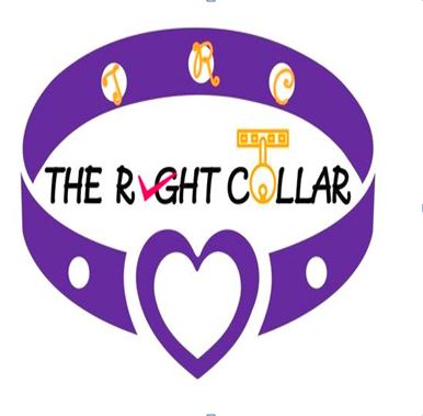 THE RIGHT COLLAR trademark artwork
