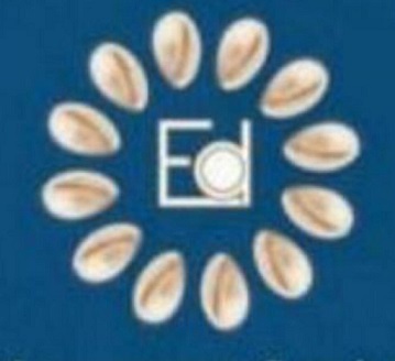 EMROLD MANAGEMENT SERVICES trademark artwork