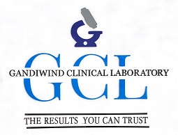 GANDIWIND CLINICAL LABORATORY trademark artwork