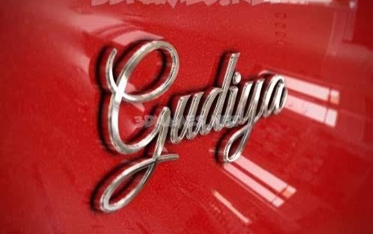 GUDIYA LOCKS trademark artwork