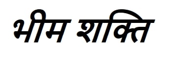 BHIM SHAKTI trademark artwork