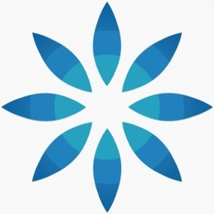 Raman Imaging And Diagnostic trademark artwork