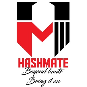 HASHMATE "BEYOND LIMITS BRING IT ON" trademark artwork