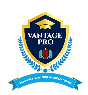 VANTAGE PRO trademark artwork