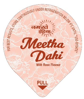 NAMASTE INDIA MEETHA DAHI trademark artwork