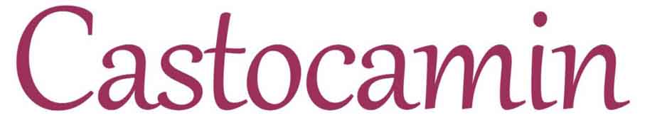 CASTOCAMIN trademark artwork