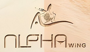 ALPHA WING trademark artwork