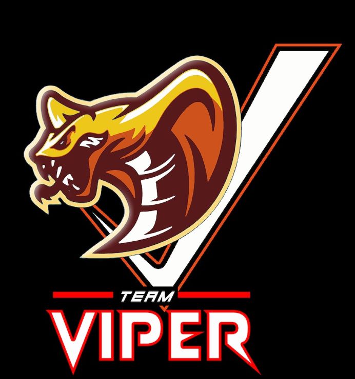 V TEAM VIPER trademark artwork