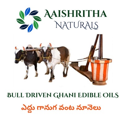 AAISHRITHA NATURALS trademark artwork