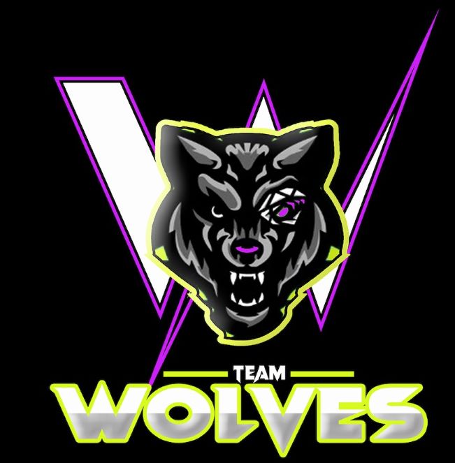 W TEAM WOLVES trademark artwork