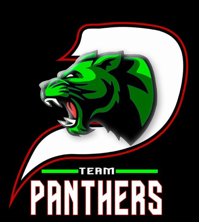 P TEAM PANTHERS trademark artwork