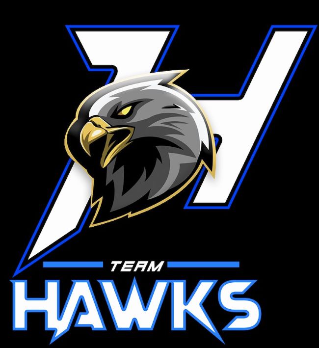 H TEAM HAWKS trademark artwork