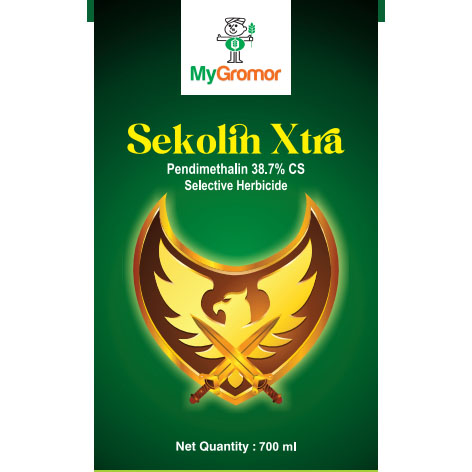 Sekolin Xtra trademark artwork