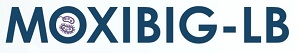 MOXIBIG-LB trademark artwork